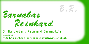 barnabas reinhard business card